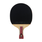 DHS 6 Star Table Tennis Racket