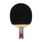 DHS 5 Star Table Tennis Racket