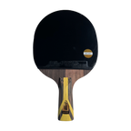 DHS 9 Star Table Tennis Racket