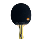 DHS 4 Star Table Tennis Racket