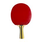 DHS 4 Star Table Tennis Racket