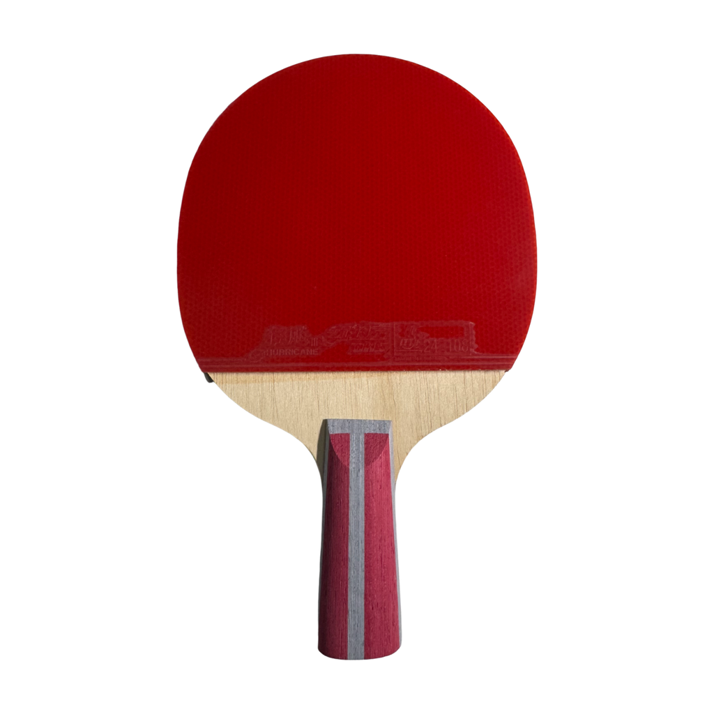 DHS 4 Star Table Tennis Racket