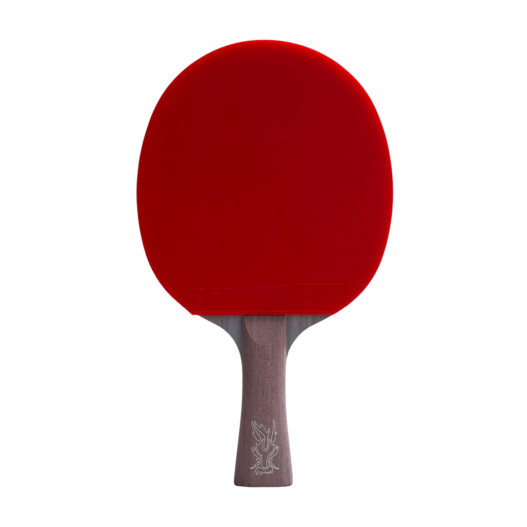 DHS Ma Long Classic Series Table Tennis Racket Set