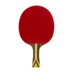 DHS 9 Star Table Tennis Racket