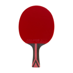 DHS 8 Star Table Tennis Racket