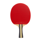 DHS 3 Star Table Tennis Racket
