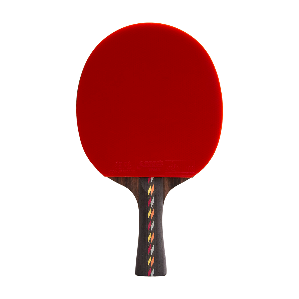DHS 5 Star Carbon Fiber Table Tennis Racket