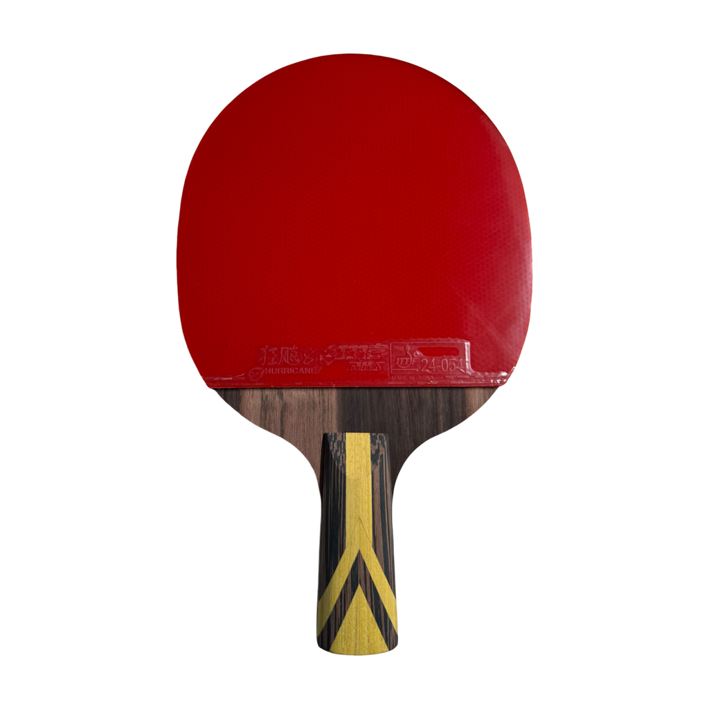DHS 9 Star Table Tennis Racket