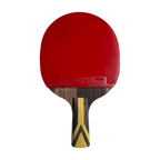 DHS 9 Star Table Tennis Racket