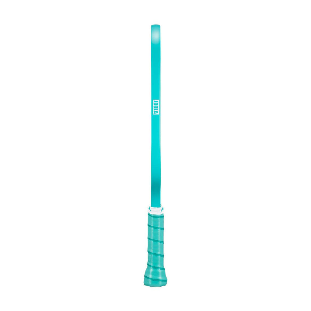 JOOLA Dash Pickleball Paddle