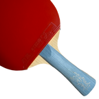 DHS Golden Grand Slam Ma Long Classic Series Table Tennis Racket Set