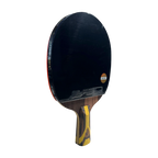 DHS 9 Star Table Tennis Racket