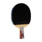 DHS 5 Star Table Tennis Racket