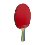 DHS 6 Star Table Tennis Racket