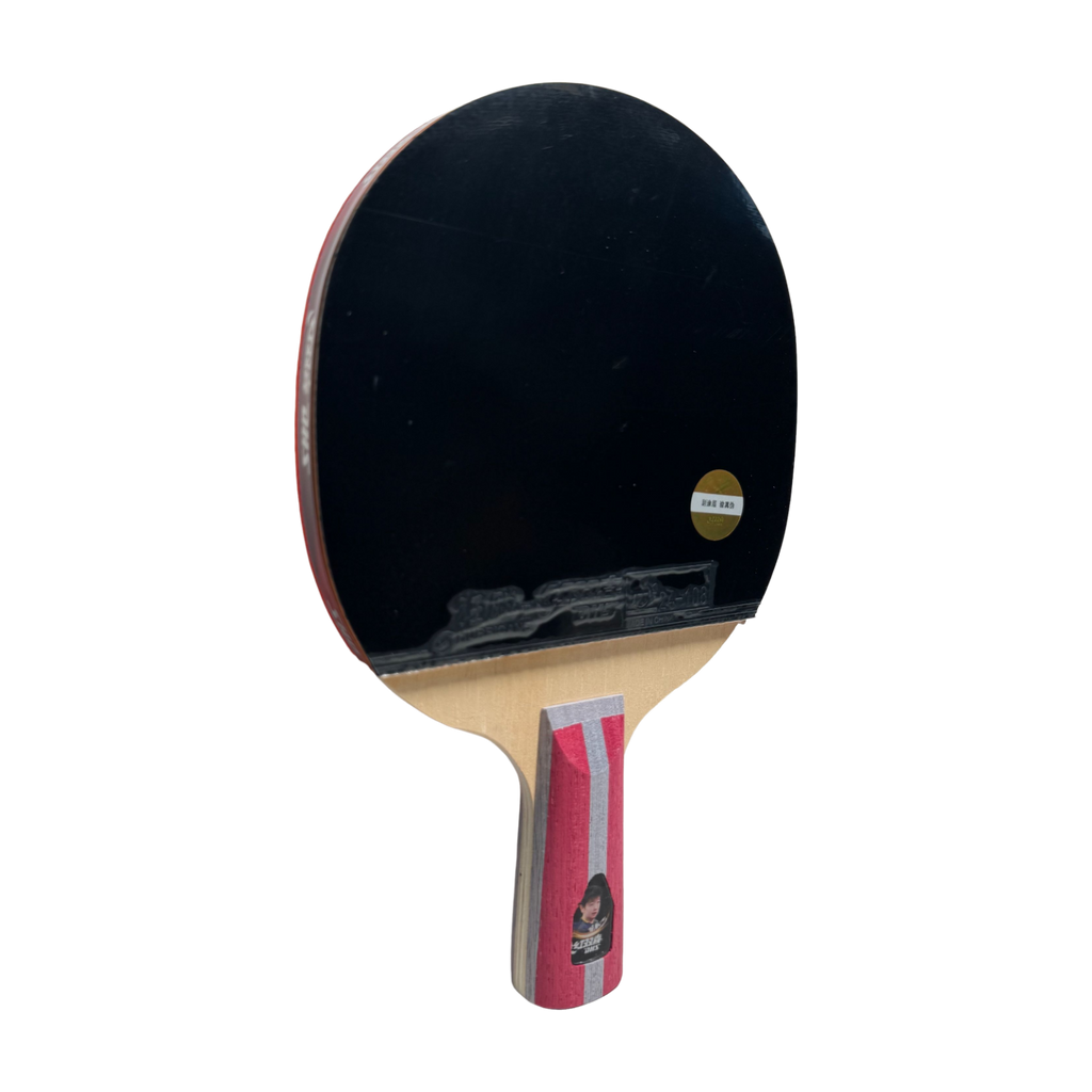 DHS 4 Star Table Tennis Racket