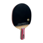 DHS 4 Star Table Tennis Racket