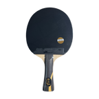 DHS Wang Chuqin Classic Series Table Tennis Racket Set