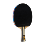 DHS 3 Star Table Tennis Racket