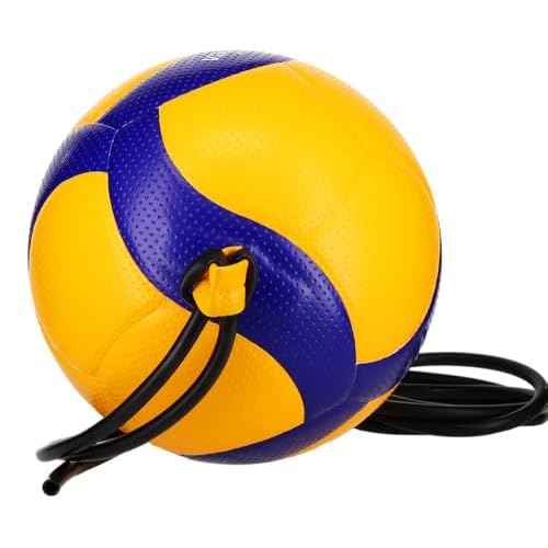 Mikasa V300W-AT-TR Official Size, tethered Training Volleyball