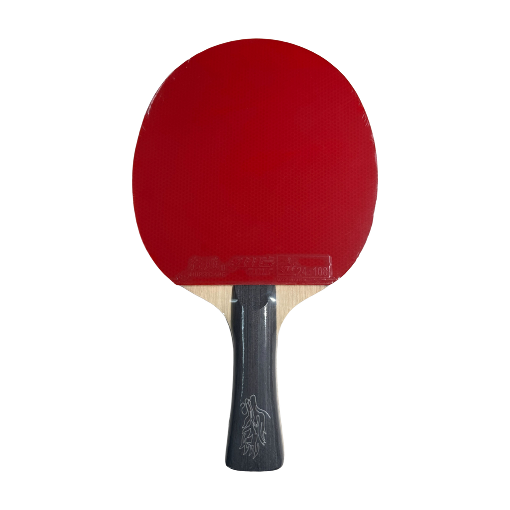 DHS Wang Chuqin Classic Series Table Tennis Racket Set