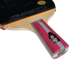 DHS 4 Star Table Tennis Racket