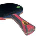 DHS 8 Star Table Tennis Racket