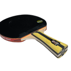 DHS 4 Star Table Tennis Racket