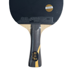 DHS Wang Chuqin Classic Series Table Tennis Racket Set