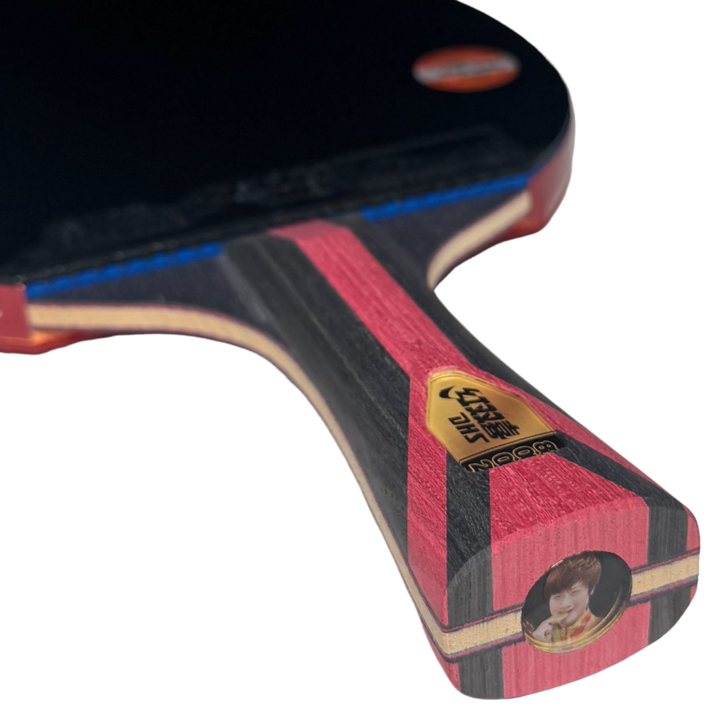 DHS 8 Star Table Tennis Racket