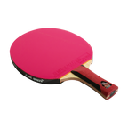 DHS 6 Star Color Edition Table Tennis Racket