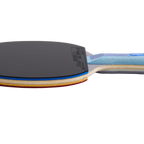 DHS TG Blue Table Tennis Racket