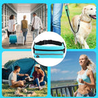 OQXEJPHFN 2 Pcs Running Belt With Water Bottle Holder, Slim Hydration Belt, Waist Pouch Bag For Workout(Black,Blue)