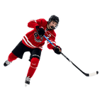 BAUER NEXUS E40 STICK INTERMEDIATE