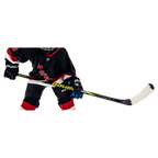 BAUER NEXUS PERFORMANCE STICK YOUTH