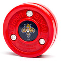 Florida Panthers