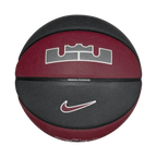 Nike Unisex All Court 2.0 8P L James