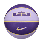 Nike Unisex All Court 2.0 8P L James